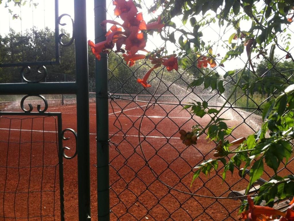 Villa In Funtana With Private Tenniscourt Eksteriør billede